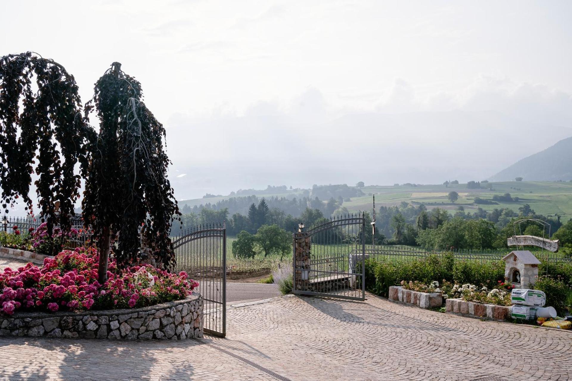 Agriturismo Maso alle Rose Bed and Breakfast Balbido-rango Esterno foto